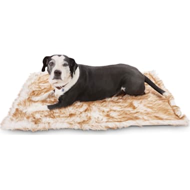Dog hot sale nuzzling blanket