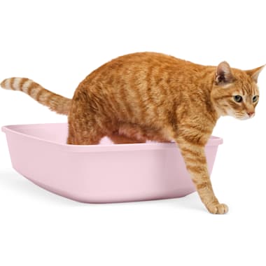 Shallow Litter Boxes