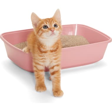 Rabbit Litter Box Petco