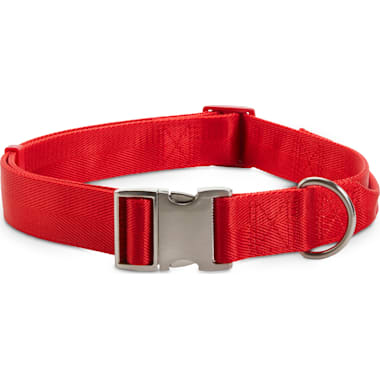 Giant breed dog collars top