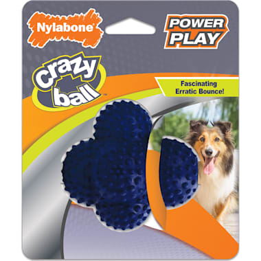 Best dog toys discount for blue heelers