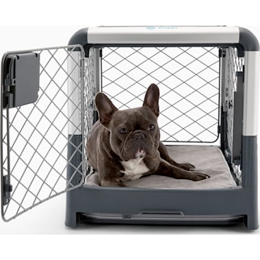 Retriever 1 Door Plastic Portable Pet Carrier, Gray