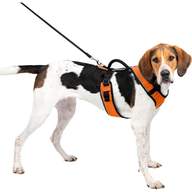 Best Selling Dog Harnesses of 2024 According to Customers Updated