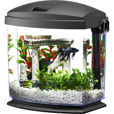 Imagitarium Cylindrical Betta Fish Desktop Tank Kit, 1.6 gal.