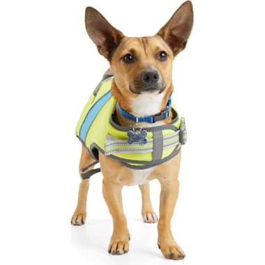 Best Dog Life Jackets of 2024 According to Customers Updated