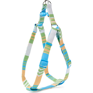 Escape proof store dog harness petco