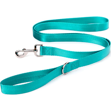 Long dog discount leash petco