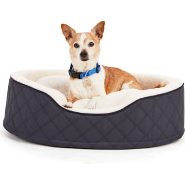 Bluebench deals dog bed
