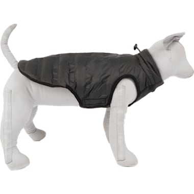 Kong dog clothes store