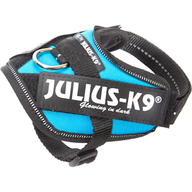 Escape proof dog harness petco sales