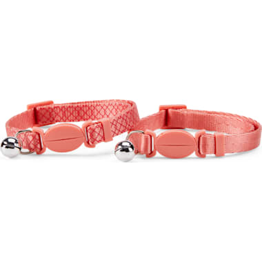 Glow in the deals dark cat collar petco