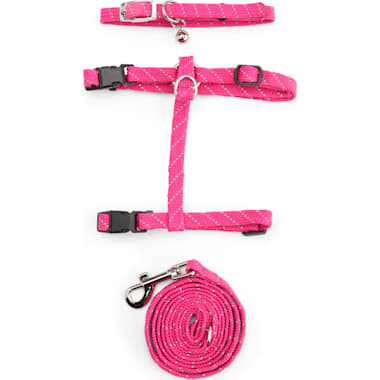 Kitty holster petco hotsell
