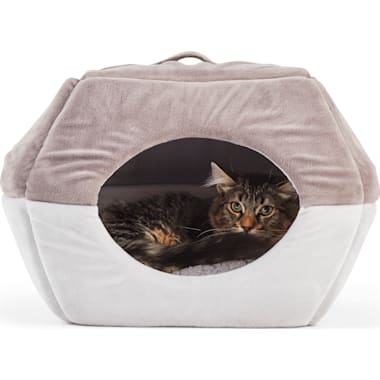 Best cat bed for older hot sale cats
