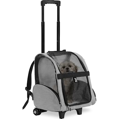 Pet carrier online 20 lbs