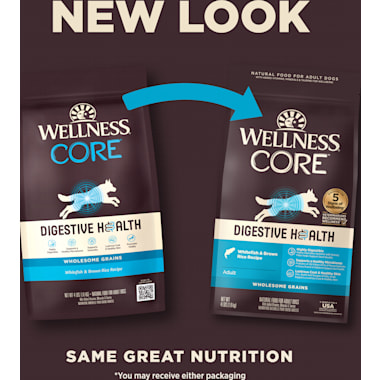Petco dog top food brands