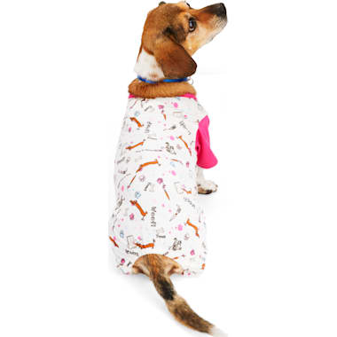 5 Doggone Cute & Comfy Dog Walking Outfits 