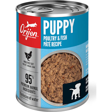 Best food on sale for maltipoo puppy