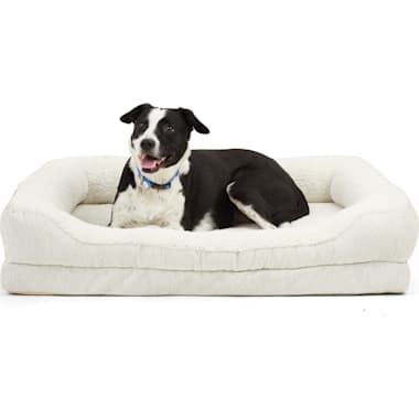 Thin deals dog bed