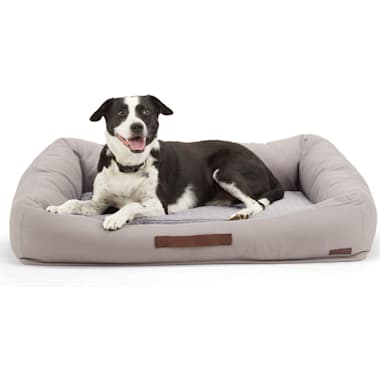 Canvas matters shop dog beds