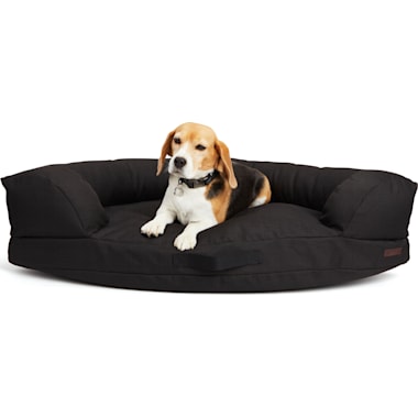 The 7 best outdoor dog beds this year