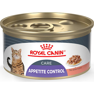 Best wet cat sale food for finicky eaters