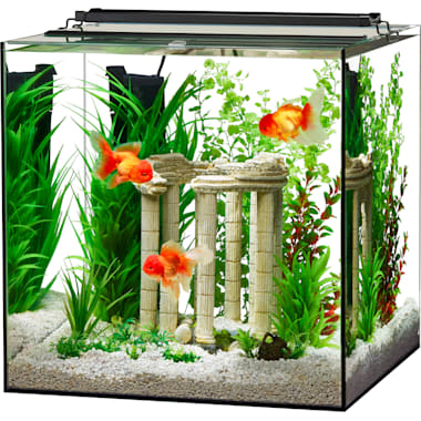Petco betta sales aquarium