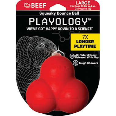 Red Squeaky Dog Ball Petco