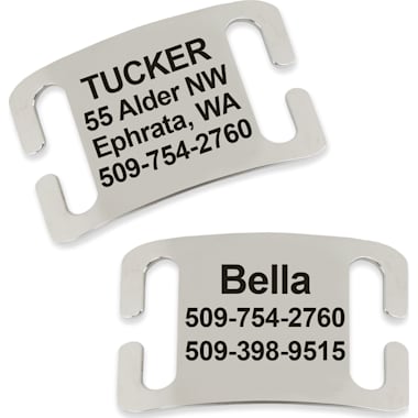 No Jingle Dog Tags Petco