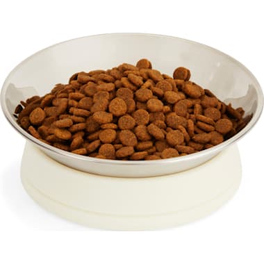 EveryYay Take It Slow White Slow Feeder Dog Bowl, 1.6 Cups