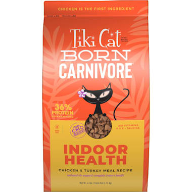 Best cat food for on sale 3 month old kitten