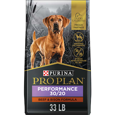 Siberian Husky Dog Food Petco