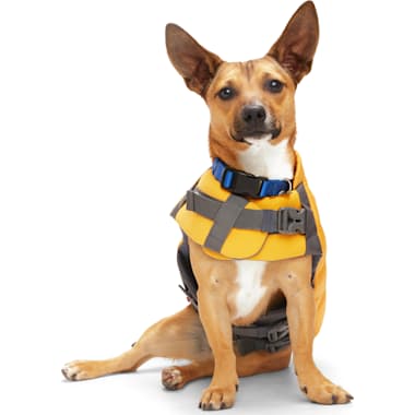 Petco shop life vest