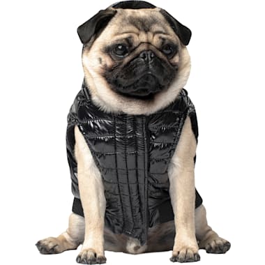 Emotional support dog vest petco on sale