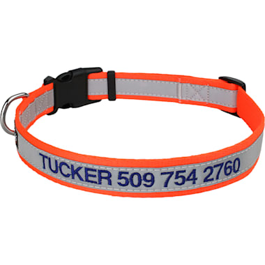 Quick release collar petco discount