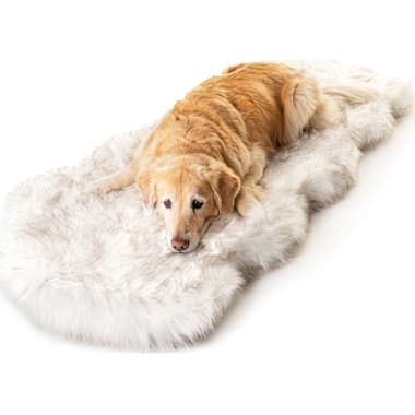 Waterproof dog beds for incontinent dogs clearance