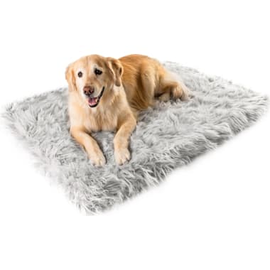 Orthopedic dog bed for hip dysplasia shop