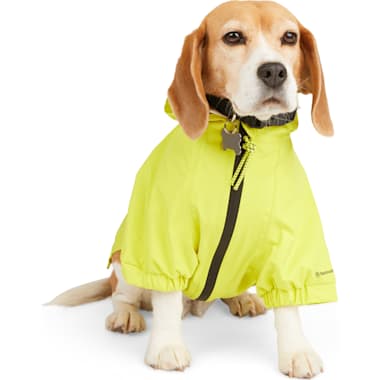 Petco dog shop winter coats