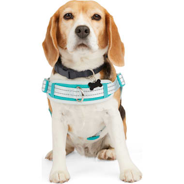 Escape Proof Dog Harness Petco