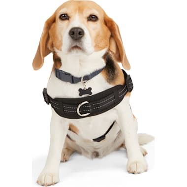Voyager harness new arrivals petco