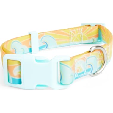 Cute dog collars for small dogs top