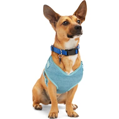 Gooby dog cheap harness petco