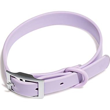Sensitive skin dog collar hot sale