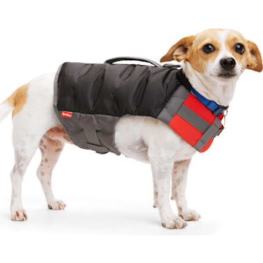 Small dog protection vest sale
