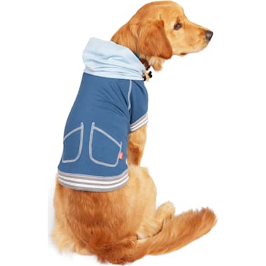 Champion hoodie online for dogs