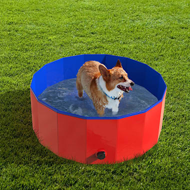 Dog friendly 2025 inflatable pool