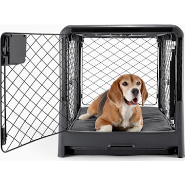 Golden Retriever Dog Crate Petco