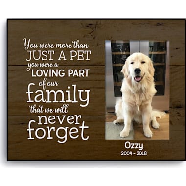 Petco pet shop urns