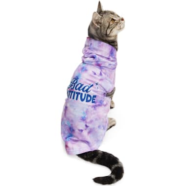 Cat recovery 2025 suit petco