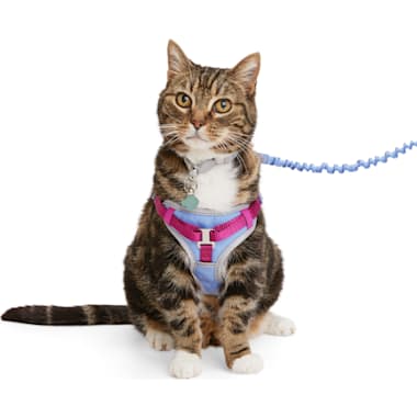 Best Cat Harnesses of 2024 According to Customers Updated Daily