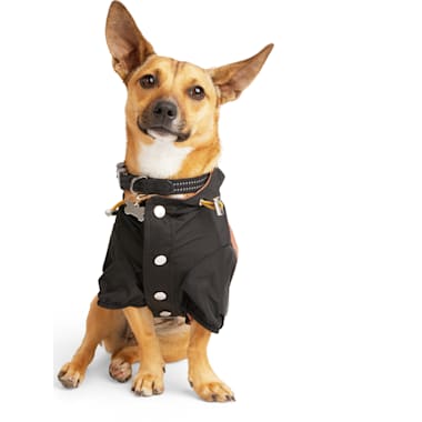 Drizabone dog coat store xl